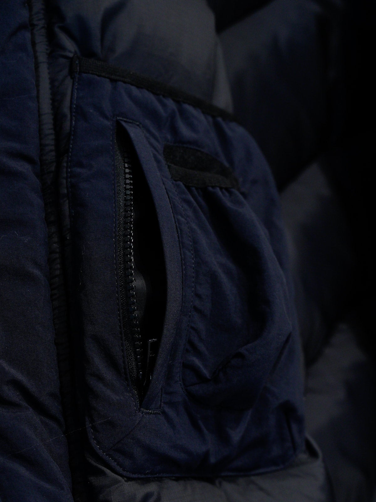 STRIPES FOR CREATIVE/S.F.C】FALL / WINTER 2023 / GOZILLA